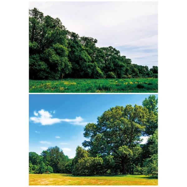 WI}V[geLtHXg01 X wiV[g@2p^[@1 594x420mm  Z