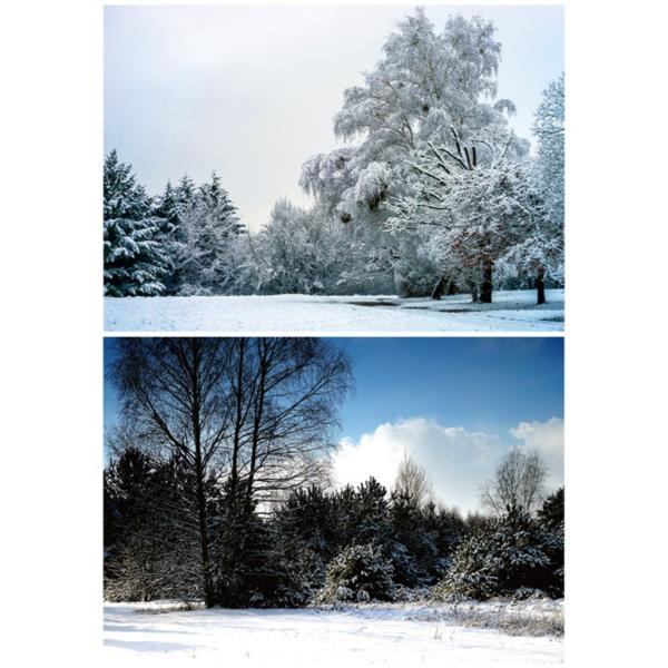 WI}V[geLEB^[01 ~ wiV[g@2p^[@1 594x420mm  Z