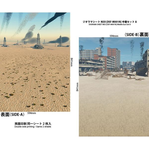 [Z]WI}V[gNEO  DSF-M001N  ZbgA@wiV[g  2