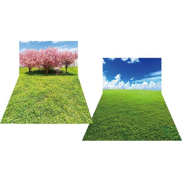 フィギュア、模型の撮影、展示に使える情景シートです。お持ちのディスプレイケースや専用のベース、スタンドなどで固定してご利用ください。両面印刷なので1枚で2パターン楽しめます。■紙製ジオラマレイアウト用シート■高解像度オフセット印刷 フルカラ...