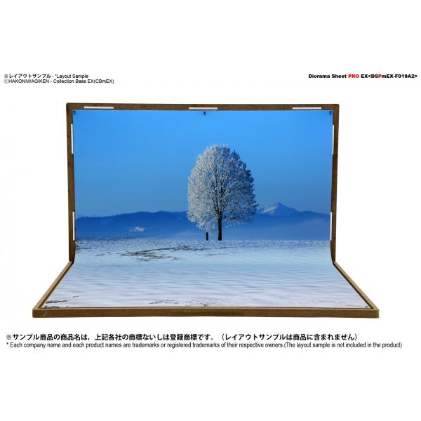 �W�I���}�V�[�gPRO-EX�@�~A2�@�ጴ�@��364x����500mm  �Жʈ���@1���@�B�e�p�w�i