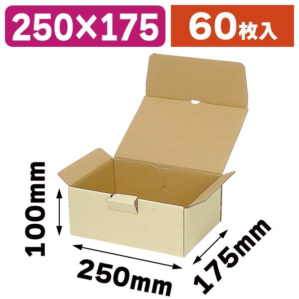 宅配用ギフトボックス 60枚入（EE-151） : 箱の店 - 通販 - Yahoo