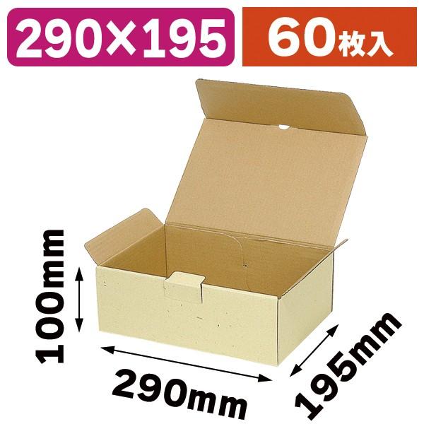 宅配用ギフトボックス 60枚入（EE-152） : 箱の店 - 通販 - Yahoo