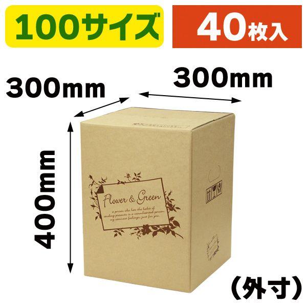 （花の宅配箱）フラワー&amp;グリーン 100サイズL/40枚入（F-501）