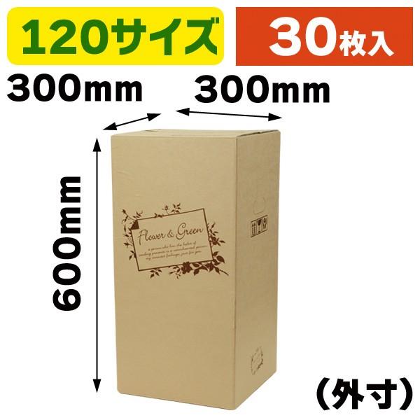 花の宅配箱)フラワーグリーン 120サイズH/30枚入(F-502) :F-502:箱の店 - 通販 - Yahoo!ショッピング 花の宅配箱)フラワーグリーン 120サイズH/30枚入(F-502) :F-502:箱の店 - 通販 - Yahoo!ショッピング