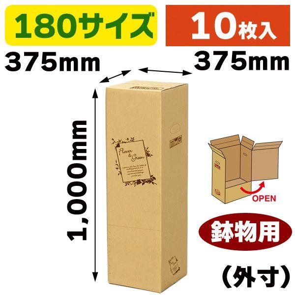 （花の宅配箱）フラワー&グリーン 鉢物L/10枚入（F-510）