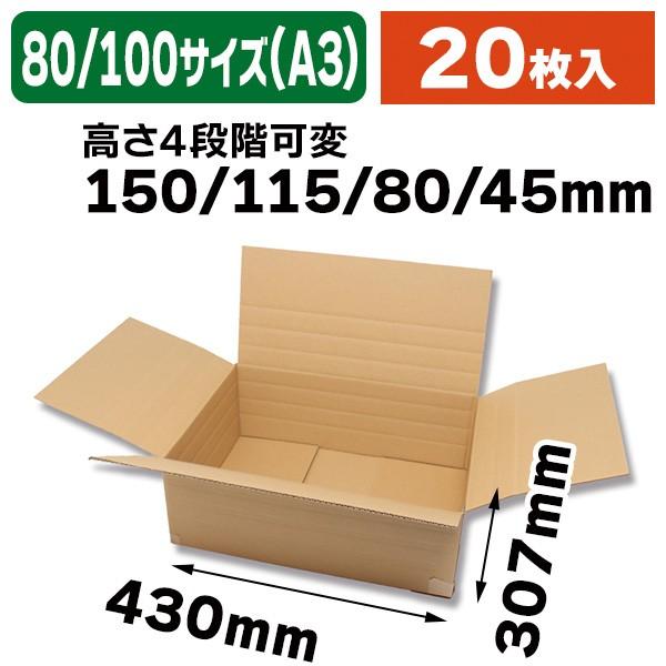 シモジマ （宅配箱）可変式ダンボール A3用/20枚入（K05-4901755208214
