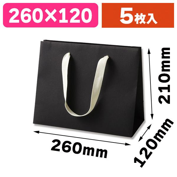 （手提袋）カラーハンドルバッグ LW ブラック/5枚入（K05-4901755371017）