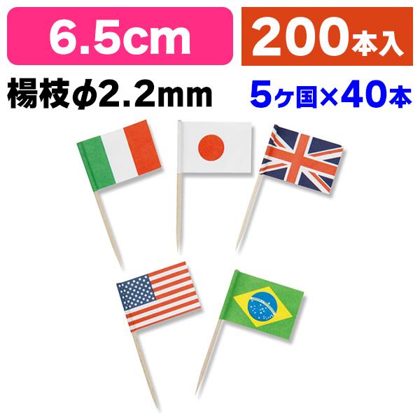 《仕様》─────────────────　［サイズ］65mm　［材　質］天然木(樺材)・紙　［品　種］竹串　［入　数］1個入　［単　価］1個あたり＠693円（税別）　［型　番］K05-4978446000884──────────────...