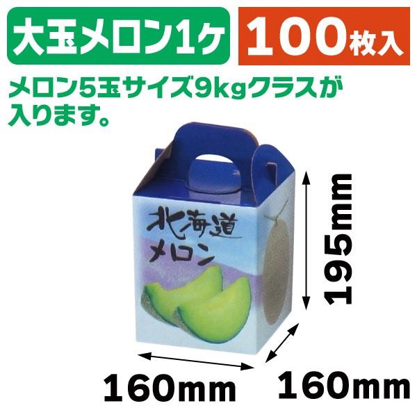 メロンの箱）北海道メロン1ヶ入/100枚入（L-2052） : 箱の店 - 通販