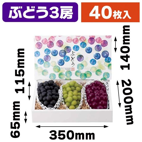 大型ぶどうの箱・3房）彩りぶどう 3房/40枚入（L-2369） : 箱の店