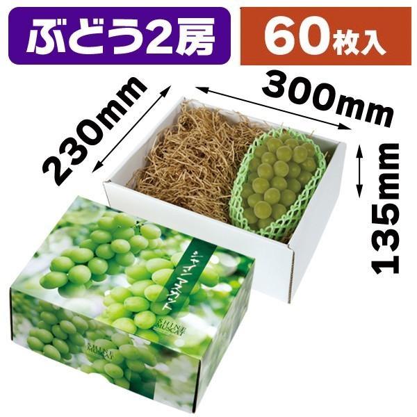 （ぶどうの箱）シャインマスカット 大 ２ケース割引品/60枚入（L-2418-2K）