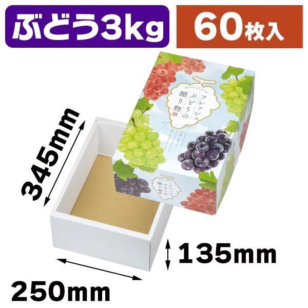 （宅送・ぶどう箱）フレッシュぶどうの贈り物 深口 3Kg ２ケース割引品 /60枚入（L-2518-2K）