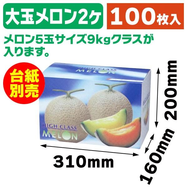 メロン2 メロンの箱）カラーメロンL2ヶ入/50枚入（L-481） : 箱の店 - 通販