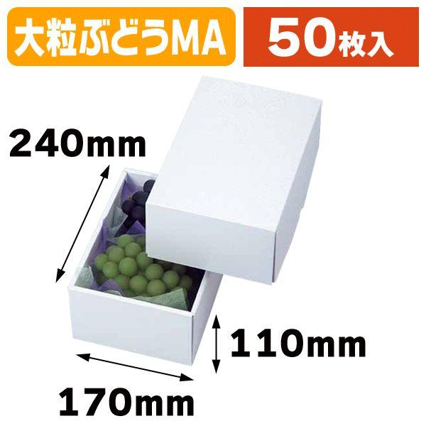 （白無地箱）パール 18/50枚入（LTO-18FS）
