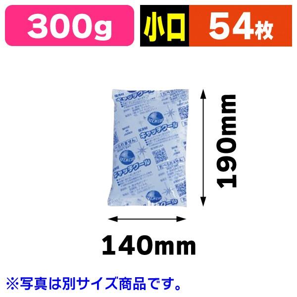 業務用保冷剤 キャッチクール CH-300g/54枚入（TRCP-300）