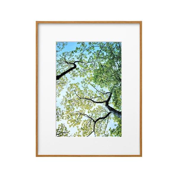 nNo ZEROt[ G-01 A4 i` FZG01-A4NT 4977187487251