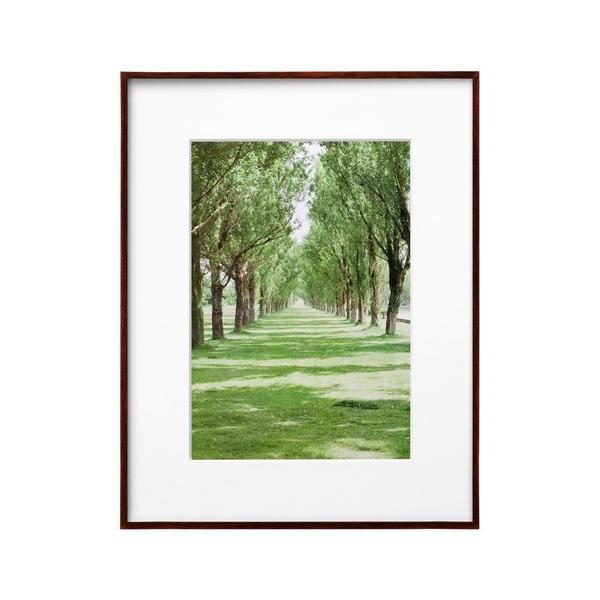 nNo ZEROt[ G-01 A4 uE FZG01-A4BR 4977187487282