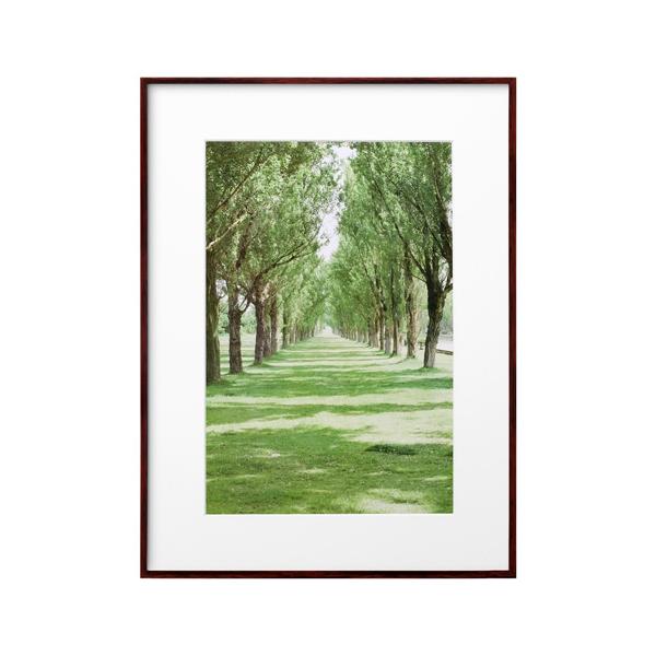 【アウトレット 訳あり特価】製品やパッケージに多少のスレや汚れ等がありますが、商品状態は良く使用上の問題はございません。個々の状態についてのお問い合わせにはお答え出来ませんので、予めご了承ください。軽くて割れないＺＥＲＯフレーム。前面板はガ...