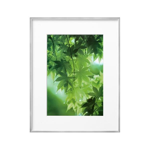 nNo ZEROt[ G-01 A4 Vo[ FZG01-A4SV 4977187487312