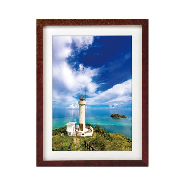 nNo ؐz MM-01 A4TCY X^ht uE FWMM01-BRA4 4977187490916