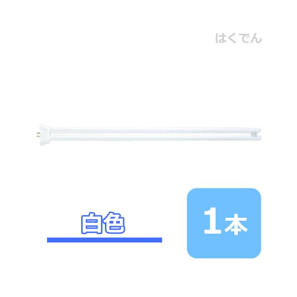 hakuhaku_11232