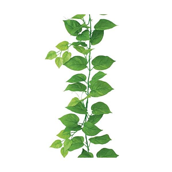 【寸法】全長180cm 葉径5〜12cm【素材】ポリエステル商品名の(数字)は花や葉の枚数などを表しており、商品を区別するための商品名の一部です。セットの本数ではありませんのでご注意ください。メーカーより発送となりますので代金引換は不可とな...