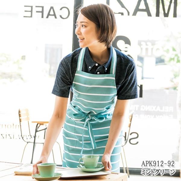 APK912 J[  {[_[Gv jp EGXg Ђ |GXe100 KAZEN Xg