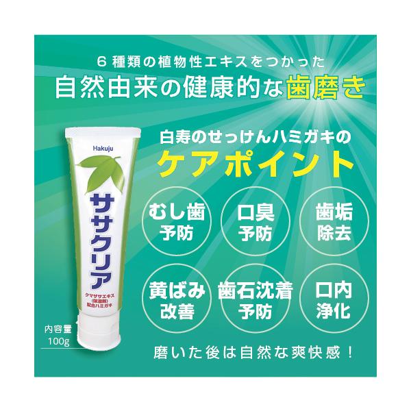 n~KL TTNA 100g  6ނ̐AGLXz RȑuI   nNW