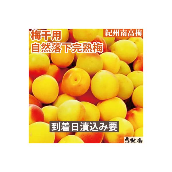 予約販売 紀州みなべ産・自家梅園産 梅干用・自然落下完熟梅 5kg 紀州 