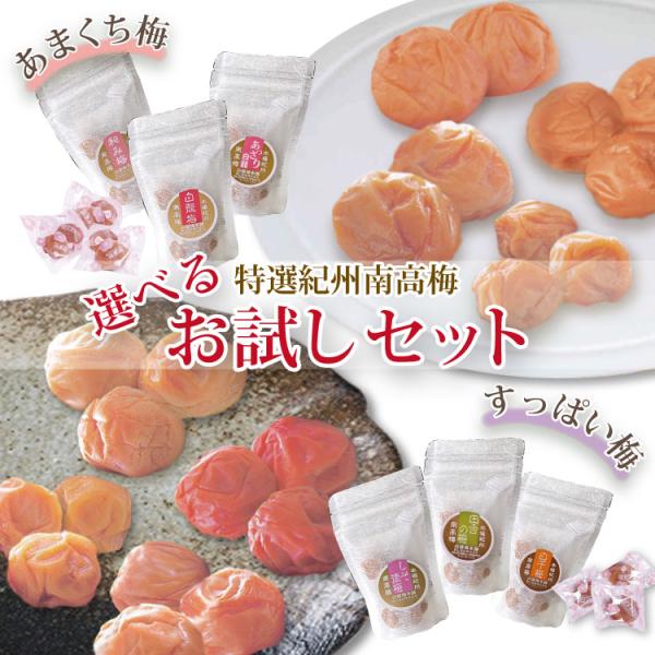 送料無料 紀州南高梅 和歌山県みなべ 自家梅園産 当店自慢の梅干計４品 お試しセット！
