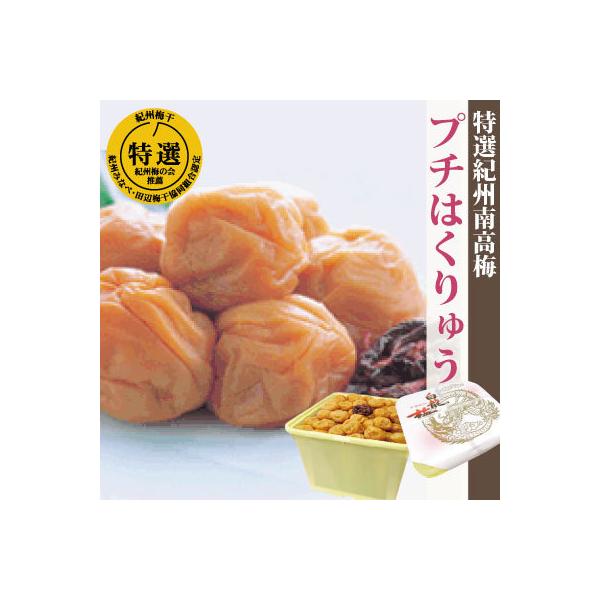 ~ I IB 썂~ v`͂イ 3.1kg ȈՕ 12 a̎R ݂Ȃ Ɣ~Y  