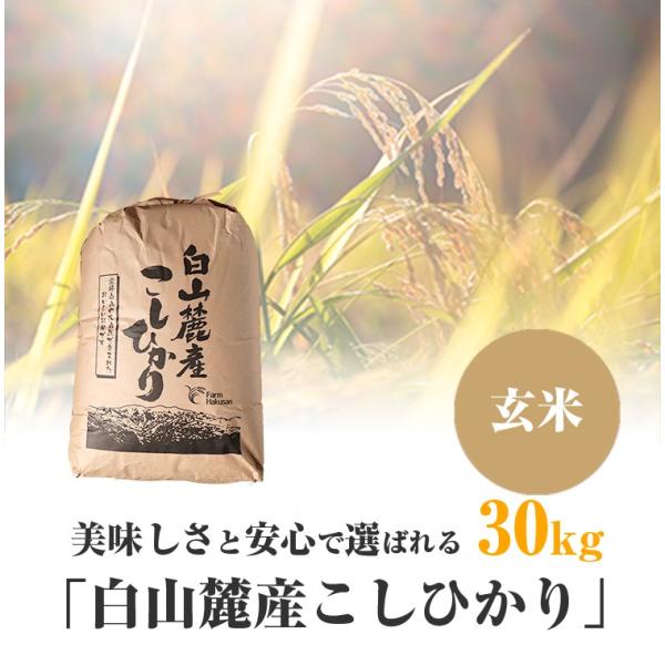 コシヒカリ 美味しさと安心で選ばれる「白山麓産こしひかり コシヒカリ 美味しさと安心で選ばれる「白山麓産こしひかり