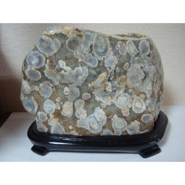 （b-55）最高級の越前紋石（参考） hakusanmonsekian_em007