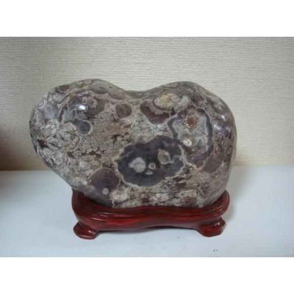 白山紋石牡丹39 : 白山紋石庵 - 通販 - Yahoo!ショッピング