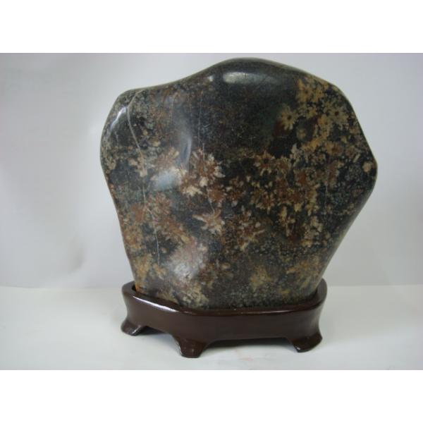 根尾谷産菊花石36 : 白山紋石庵 - 通販 - Yahoo!ショッピング