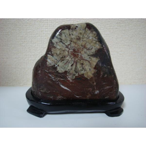 根尾谷産菊花石76 : 白山紋石庵 - 通販 - Yahoo!ショッピング