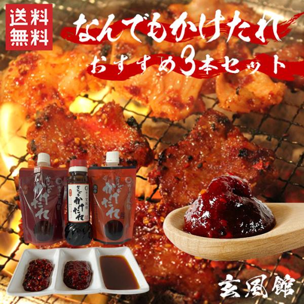 玄風館タレなんでもかけたれ　おすすめ３本セット  / 送料無料 焼肉のたれ  甘口 辛口 激辛 メディアで紹介（熨斗対応不可）（北海道・沖縄別途送料）