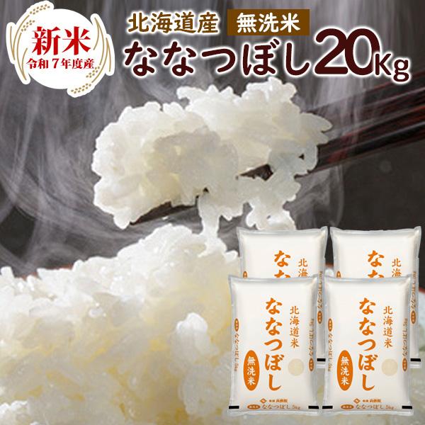 無洗米 北海道産ななつぼし 20kg（5kg×4袋) 送料無料 令和6年お
