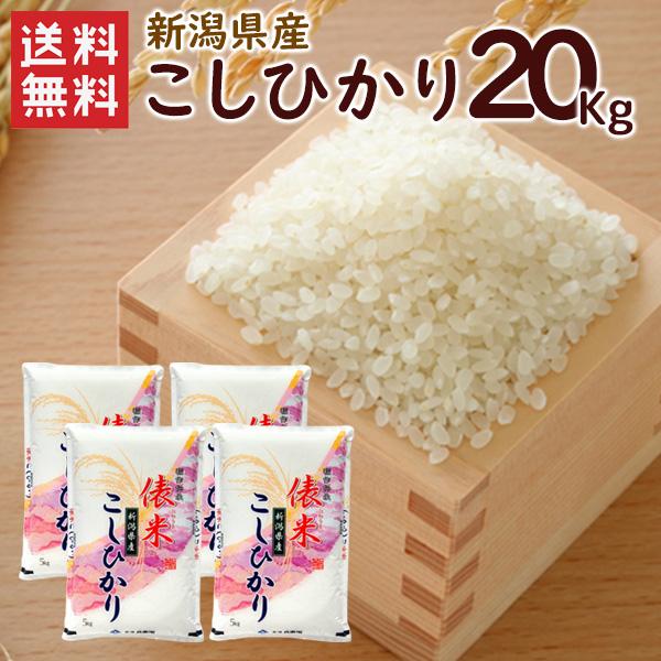 新潟 こしひかり 5kg×4 20キロ 新米です。