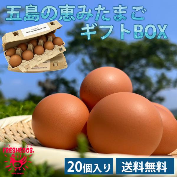 五島の恵みたまご ギフトBOX（20個入） 送料無料 たまご 卵 専用農場