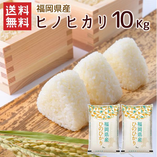 令和7年 福岡県産ヒノヒカリ 10kg (5kg×2袋) 送料無料 (北海道別途送料 