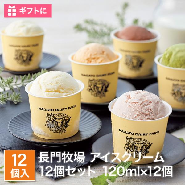 【48時間ポイント5倍】長門牧場A-2アイスクリーム12個入  送料無料 卵不使用 工場直送 アイスギフト 詰め合わせ 贈り物 贈答用 （北海道・沖縄別途 送料）