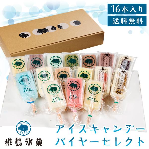 【48時間限定77円OFF】アイスキャンデーバイヤーセレクト（16本） 送料無料  椛島氷菓 お中元 (北海道・沖縄別途送料)