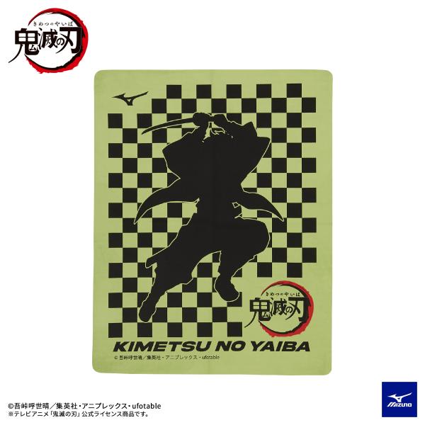 y̔zN2JY209631 CgO[ ~Ym@Sł̐n XC^I@YY