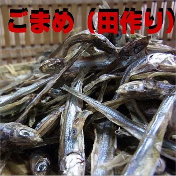 ごまめ 魚介類の人気商品 通販 価格比較 価格 Com