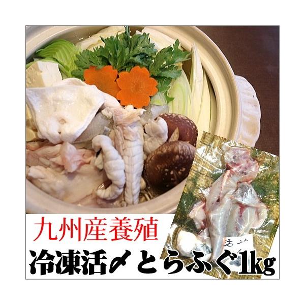 YƂӂ1 Ⓚ (6lO)BY{B yzyĂz