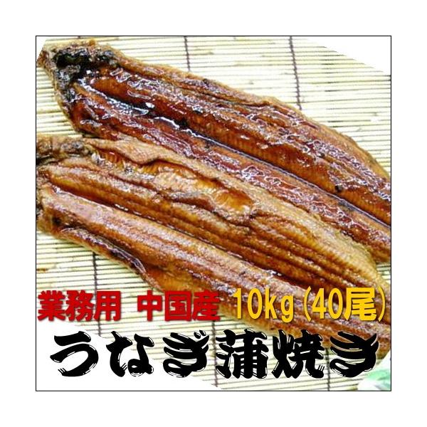 Ȃā@Y@L10kgi40`41jƖpyzy蕨z