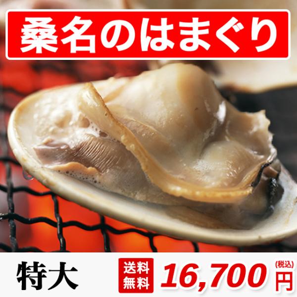 K ͂܂  1500g 4l 14 ς  Y ͂܂ 100gȏ̊L Ăn}O ͂܂یY  ō Mtg