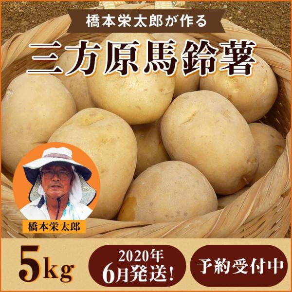じゃがいも 三方原馬鈴薯 5kg 春馬鈴薯予約受付中 沖縄 一部離島は別途料金がかかります まっちゃん農場 通販 Yahoo ショッピング